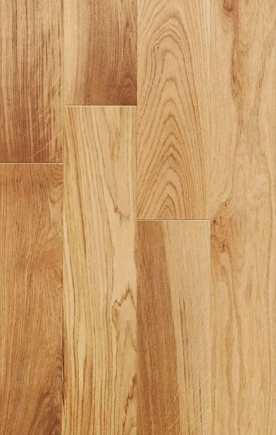 Дуб Скала