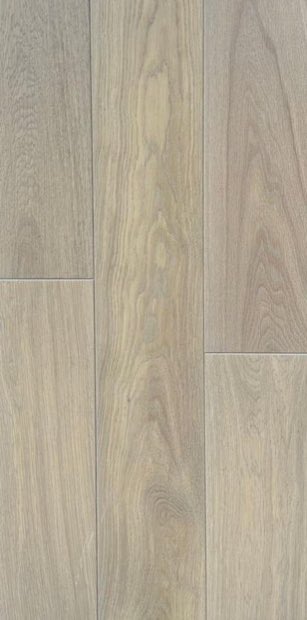 Linea 024